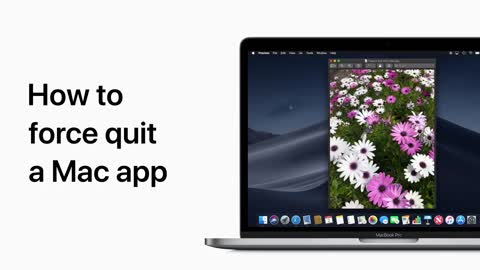 How to force quit an app on Mac