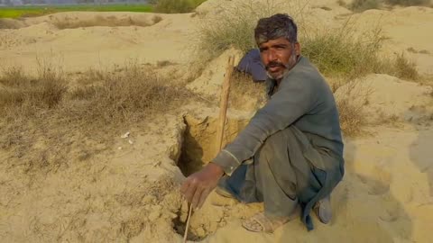 found snake eggs during hunting on the complaint of farmers