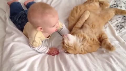 Cute baby and Cat fall in LOVE with each other (so cute) Part-3