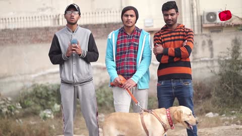 Real Dog Bark Prank @Smarties Prank TV