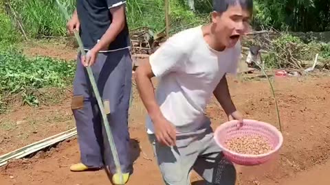 Funny videos