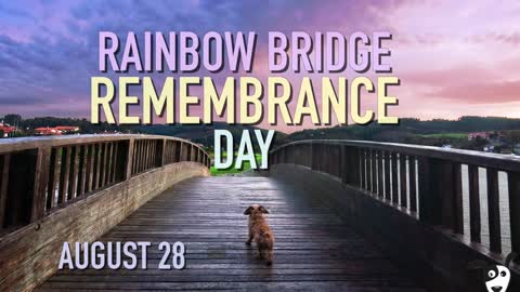 Rainbow Bridge Remembrance Day August 2022