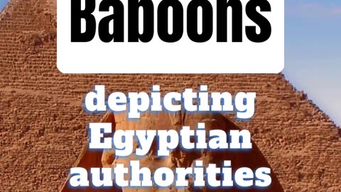 😮🐒 BABOONS WERE A USE OF AUTHORITY IN ANCIENT EGYPT