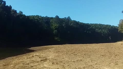 16.6.2024 The Barron River, Kuranda