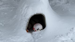 Zoey loves the snow