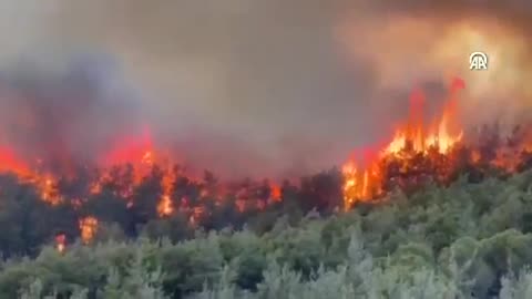 ⚡️Forest fires engulfed three provinces in Turkey