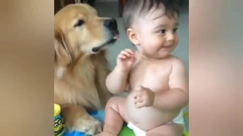 Cute dogs and baby🥰🥰