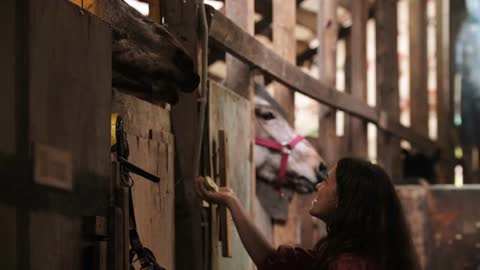 Young woman feeding horse an apple in paddock