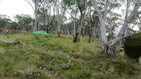 World of Hammocks. Tree Camping.