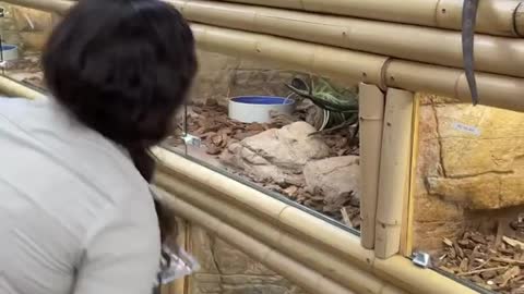 Kisses and strawberries are two things that this iguana adores.