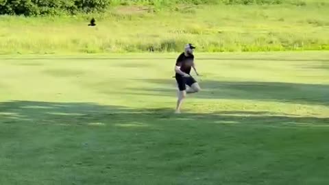 Bird Chases Golfer Away From Nest