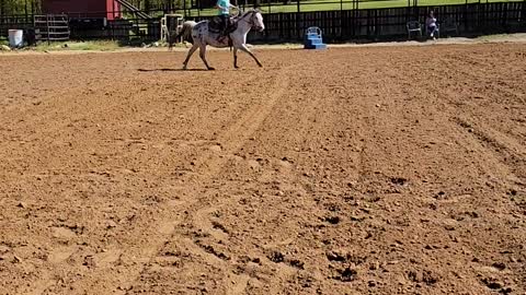 Harper galloping