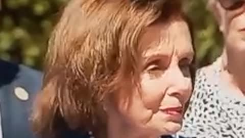 Nancy Pelosi in S. Florida... John Di Lemme's Commentary Exposes it all!!!