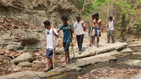 Hiking in the jungle's Tremendous Environment