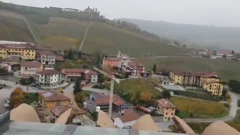 idyllic winery scene