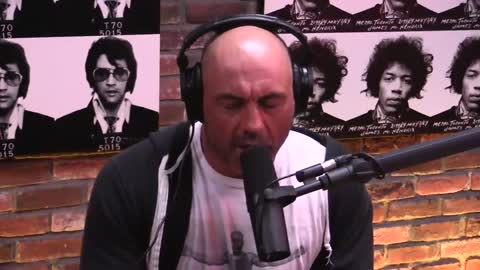 Joe Rogan Experience #877 - Jordan Petersons