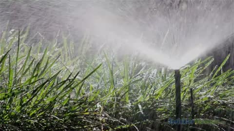 Anatomy Of Lawn Sprinklers