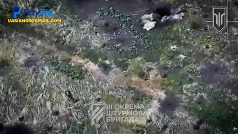 Russian Soldiers Trying to Shake Ukrainian Drones