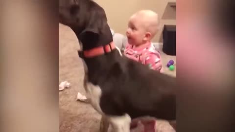 Cute Babies and Dogs are Best Friends - Funny Babies and Dogs