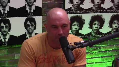 Joe Rogan Experience #710 - Gavin McInness