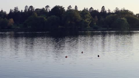 Dow's Lake Sunset Moment