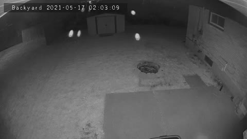 Mysterious orbs set off security cameras