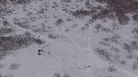 Russian Troops In War Games With Dog Sleds, Snowmobiles