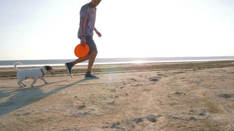 Young happy playing with cute puppy dog Jack Russell terrier on beach