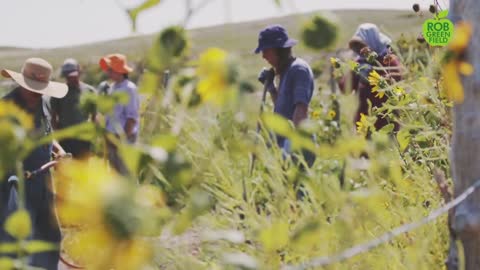 Permaculture Brings Resilience And Food Sovereignty to Pine Ridge Reservation