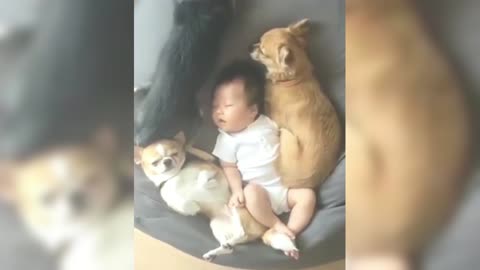 The baby and the three dogs are sleeping soundly