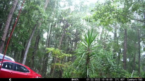 TALLAHASSEE FLORIDA RAIN STORM 7.2.2022 11:18 AM EASTERN TIME