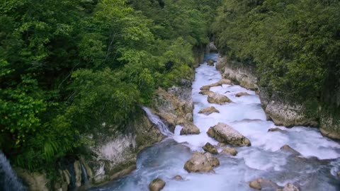 Relaxing Nature and Music