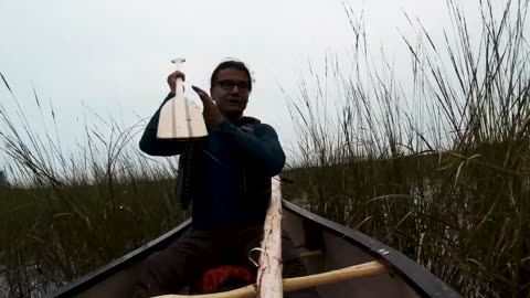 Harvesting wild rice