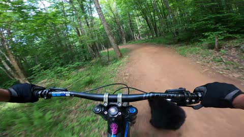 Bear Cub Runs Up on Mountain Biker