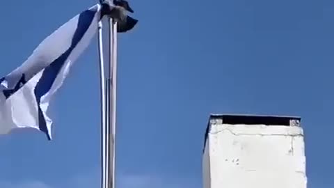 Bird does not like the Israeli flag