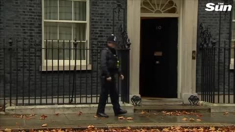 Larry the Downing Street cat’s best moments