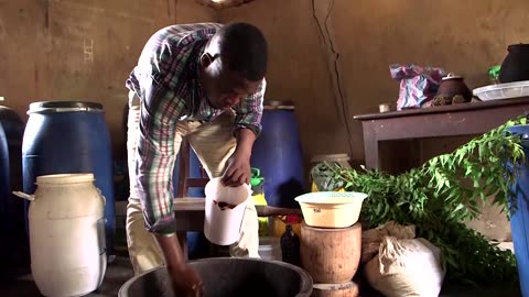 Benin's home-grown fertilizer thrives amid shortage