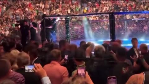 President Trump shows up at UFC 287 in Miami, Florida