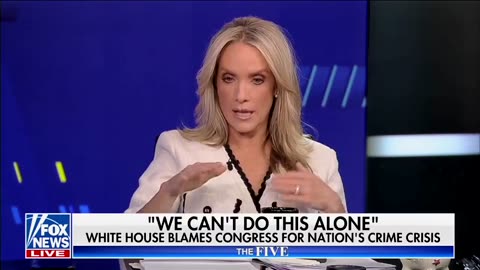 There have been 836 carjackings in DC this year. Dana Perino is pissed!