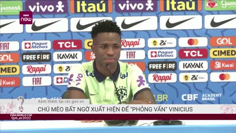 Phóng viên mèo xuất hiện trong họp báo trước trận Brazil Vs Croatia VTC Now