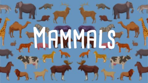 Mammals for Kids | Learn all about the unique characteristics of mammals and what mammals are!