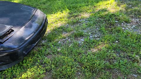 Future Project Car - 1987 Pontiac Fiero