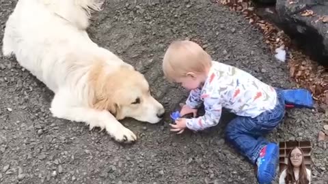 Adorable Babies Playing With Dogs Compilation - Funny Baby And Dog Videos || Just