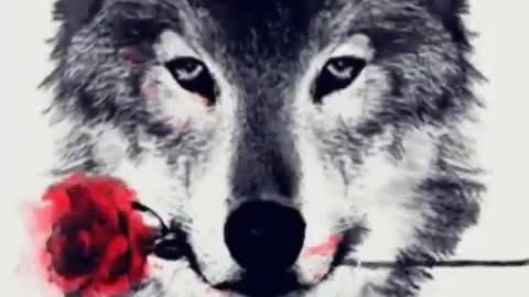 Wolf with Flower Wallpaper