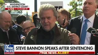 Steve Bannon 🐸🐸🐸