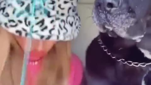 Animals video.dogs.and.cats.pats so funny