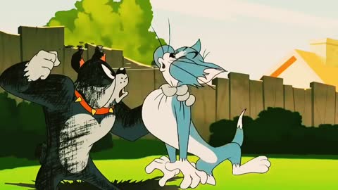 Funny Tom and Jerry cartoon videos, cartoon funny Video, kid's cartoon funny Video