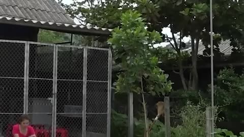 Using a pump to catch fish in a pond