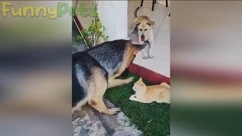 funniest cat and dog😹🐶-best funniest animal videos 2023 😂EP.4