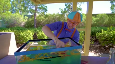 Blippi Learns About Animals For Kids At The Animal Shelter | Educational Videos For Toddlers